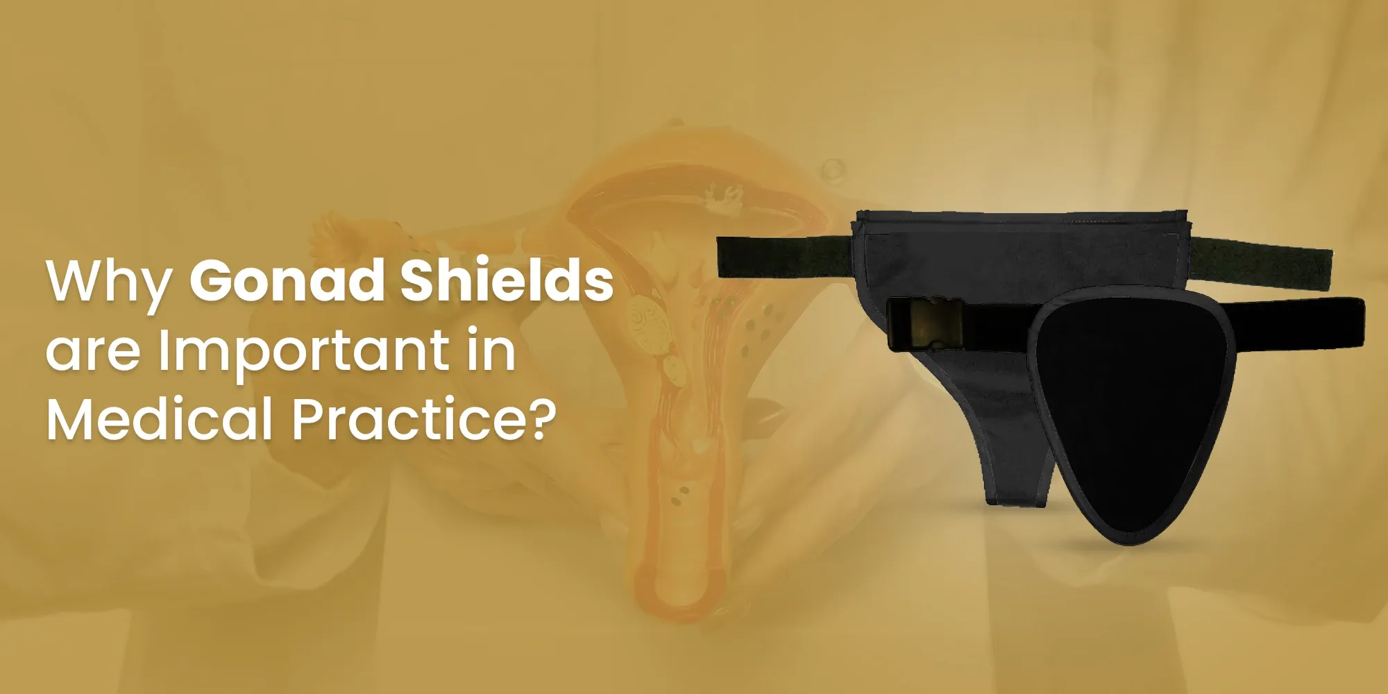 Why Gonad Shields Are Important in Medical Practice?